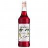 Monin - Sirop de Grenadine - 1L