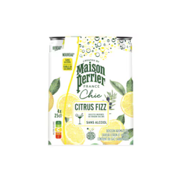 Perrier - Citrus Fizz (24 x...