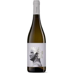 Puglia IGP Falanghina,...