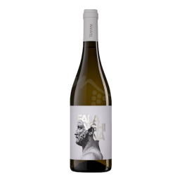 Puglia IGP Falanghina,...