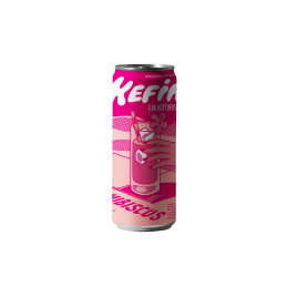 Kefir Eau Vertueuse -...