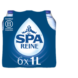 Spa Reine (6 x 1L PET)