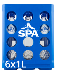 Spa Reine (Casier de 6 x 1L)