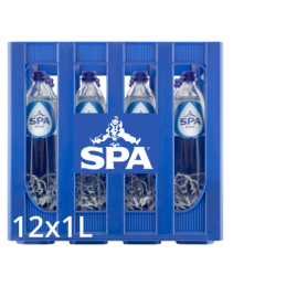 Spa Reine (Casier de 12 x 1L)