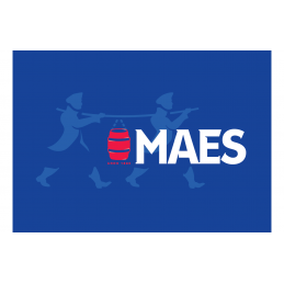 Maes pils 5,2% (Fût de 20L...